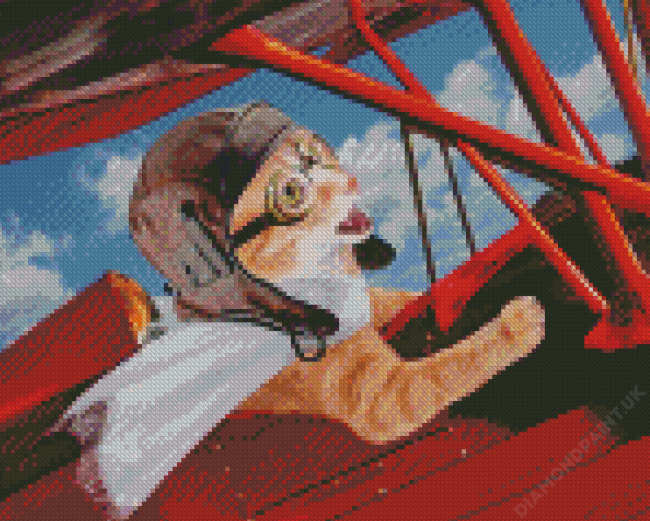 Aesthetic Pilot Cat Diamond Painting