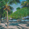 Beach Palm Trees In Varadero Diamond Painting