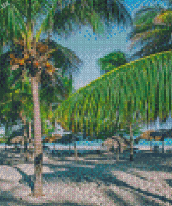 Beach Palm Trees In Varadero Diamond Painting