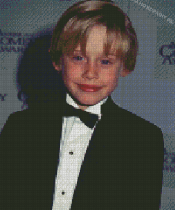 Cool Macaulay Culkin Diamond Painting