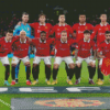 Cool Man Utd Diamond Painting