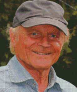 Cool Terence Hill Diamond Painting