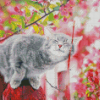 Grey Tabby Cat Diamond Painting
