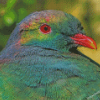 Kereru Head Diamond Painting