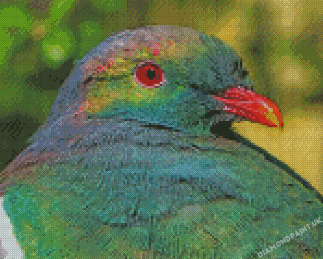 Kereru Head Diamond Painting