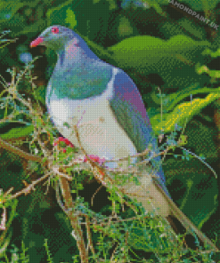 Kereru Bird Diamond Painting