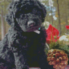 Little Black Goldendoodle Dog Diamond Painting