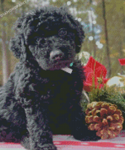 Little Black Goldendoodle Dog Diamond Painting