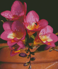 Pink Freesia Flowers Diamond Painting