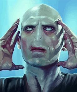 Voldemort Art Diamond Painting