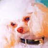 White Poodle Abstract Diamond Painting