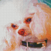 White Poodle Abstract Diamond Painting