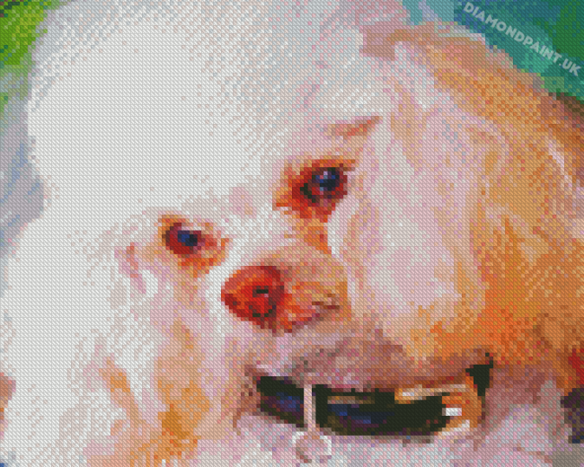 White Poodle Abstract Diamond Painting