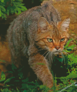 Wildcat Pet Diamond Painting