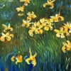 Yellow Irises Plant By Monet Diamond Painting