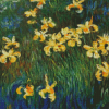 Yellow Irises Plant By Monet Diamond Painting