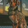 Aesthetic Military Dog Diamond Painting