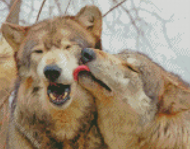 Aesthetic Wolf Couple Diamond Painting