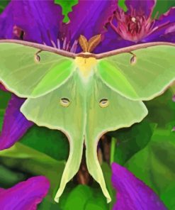 American Moon Moth And Flowers Diamond Painting