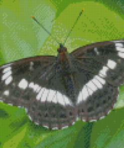 Black And White Butterfly On Leaf Diamond Painting