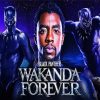 Black Panther Wakanda Forever Chadwick Boseman Diamond Painting