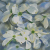 Blooming White Dogwoods Diamond Painting