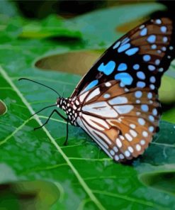 Blue Tiger Butterfly On Plant Leaf Diamond Painting