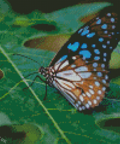 Blue Tiger Butterfly On Plant Leaf Diamond Painting