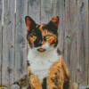 Calico Cat Diamond Painting