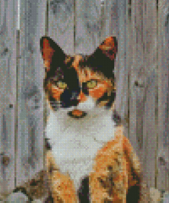 Calico Cat Diamond Painting