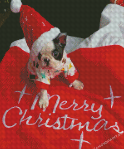 Christmas Boston Terrier Puppy Diamond Painting