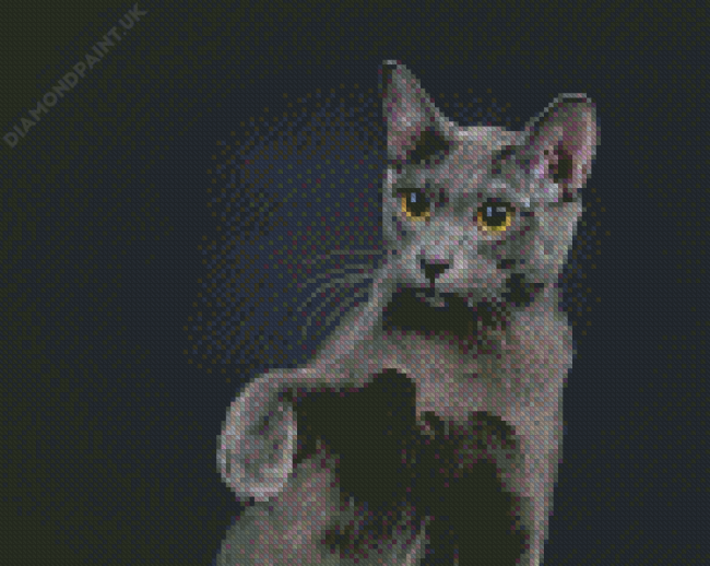 Cute Korat Cat Diamond Painting
