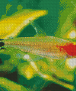 Firehead Tetra Fish Diamond Painting
