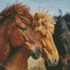 Icelandic Horses Heads Diamond Painting