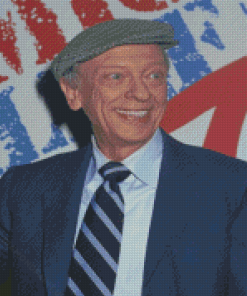 Jesse Don Knotts Diamond Painting