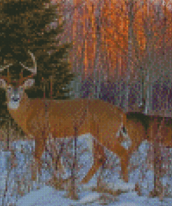 Large Buck And Doe In Snow Diamond Painting