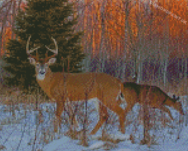Large Buck And Doe In Snow Diamond Painting