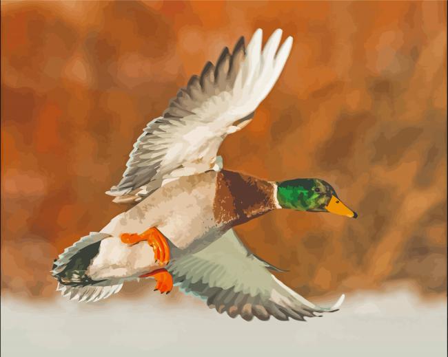 Mallard Duck Flying Diamond Painting