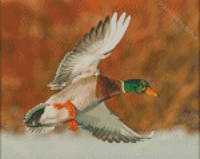 Mallard Duck Flying Diamond Painting