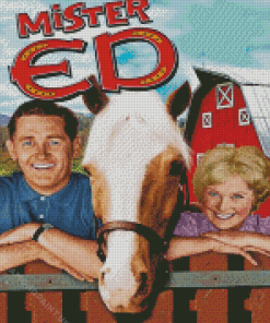 Mr Ed Diamond Painting