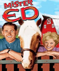 Mr Ed Diamond Painting