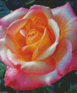 Peace Rose Diamond Painting