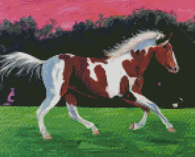 Pinto Horse Running In Farm Diamond Painting
