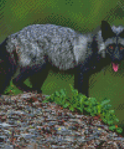 Silver Fox Animal Diamond Painting