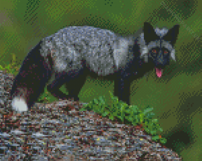 Silver Fox Animal Diamond Painting