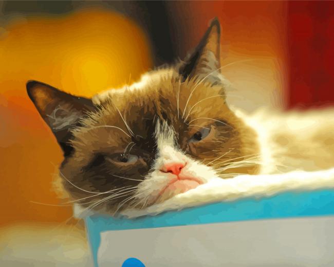 Sleepy Grumpy Cat Diamond Painting