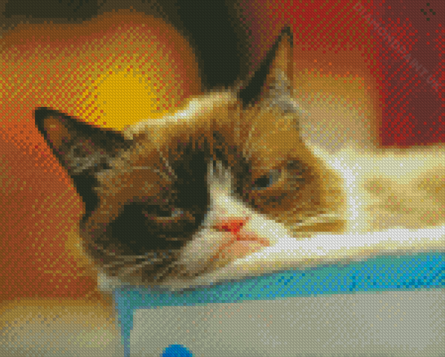 Sleepy Grumpy Cat Diamond Painting