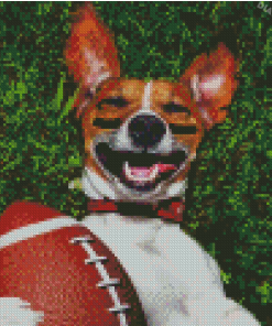 Sport Dog Diamond Painting