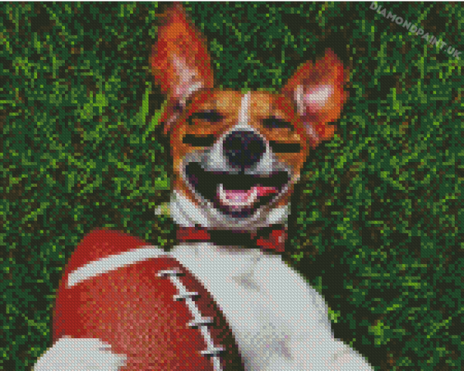 Sport Dog Diamond Painting
