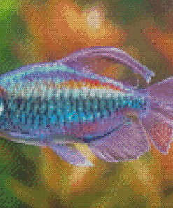 The Congo Tetra Fish Diamond Painting